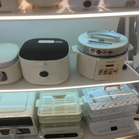 Garment Steamers Wholesale China