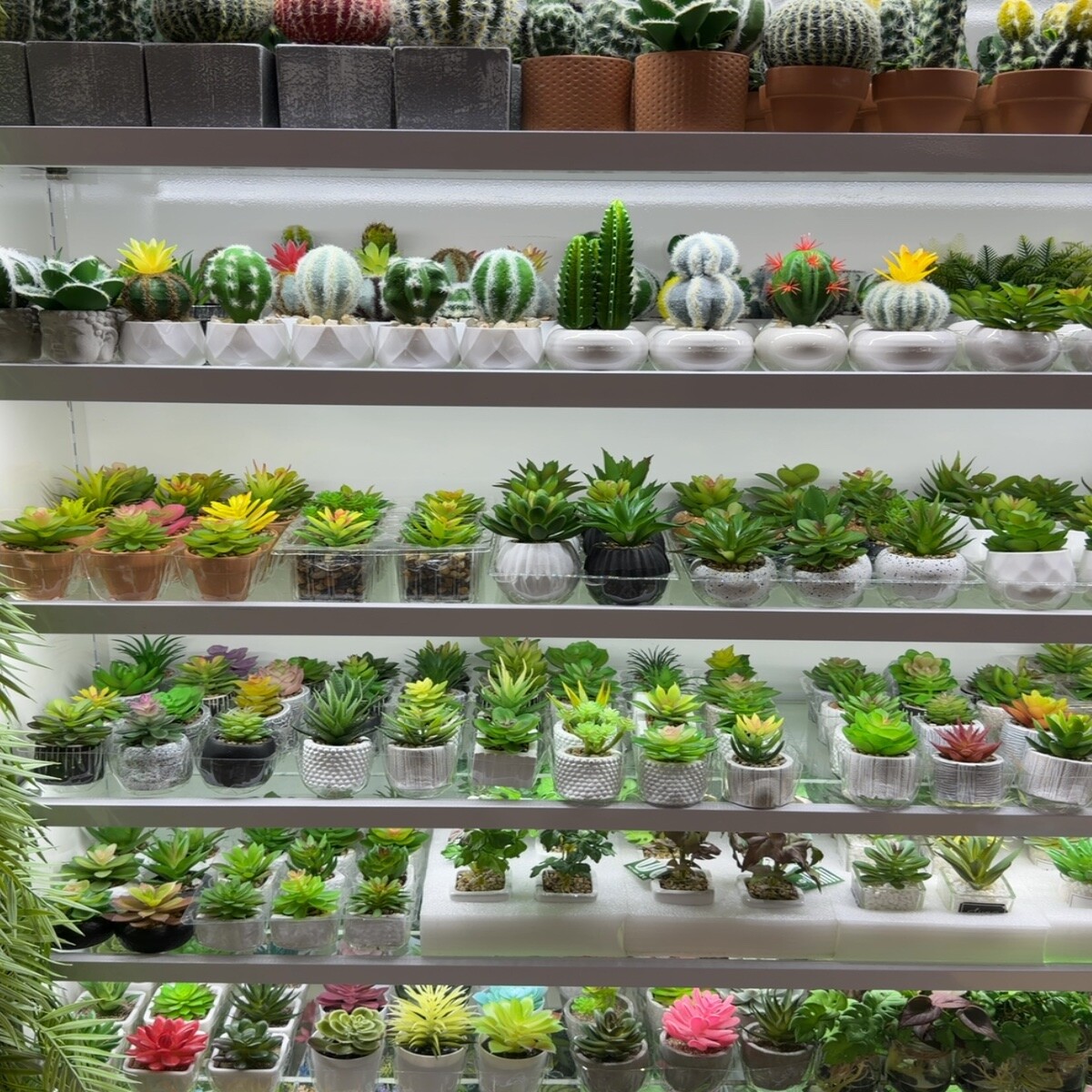 Artificial Plants
