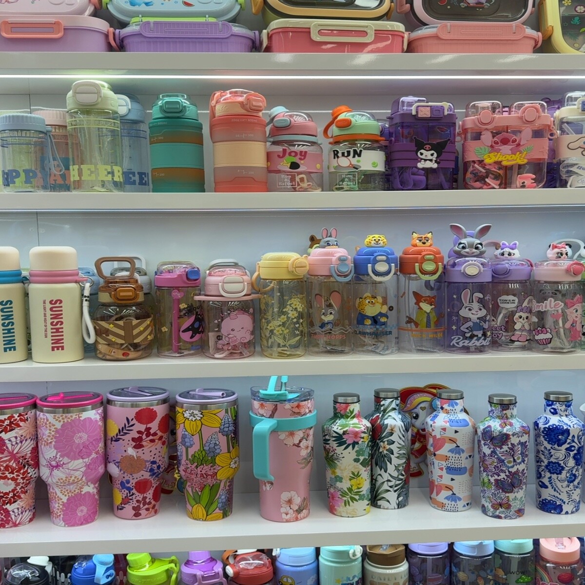 Stainless Steel Water Bottles