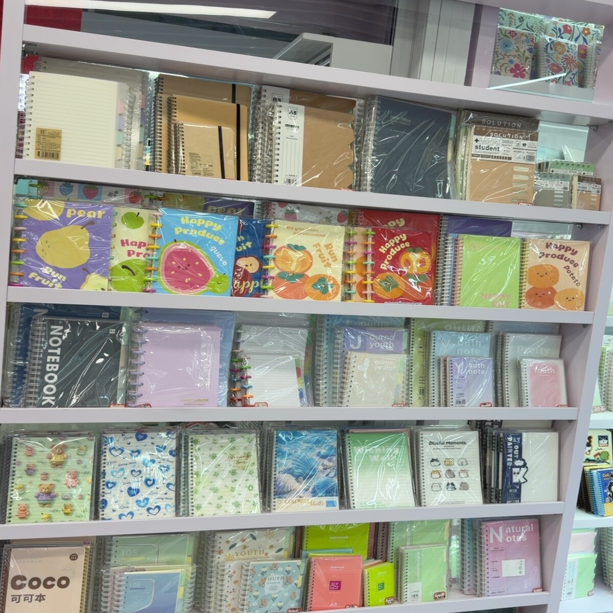 Spiral Notebooks
