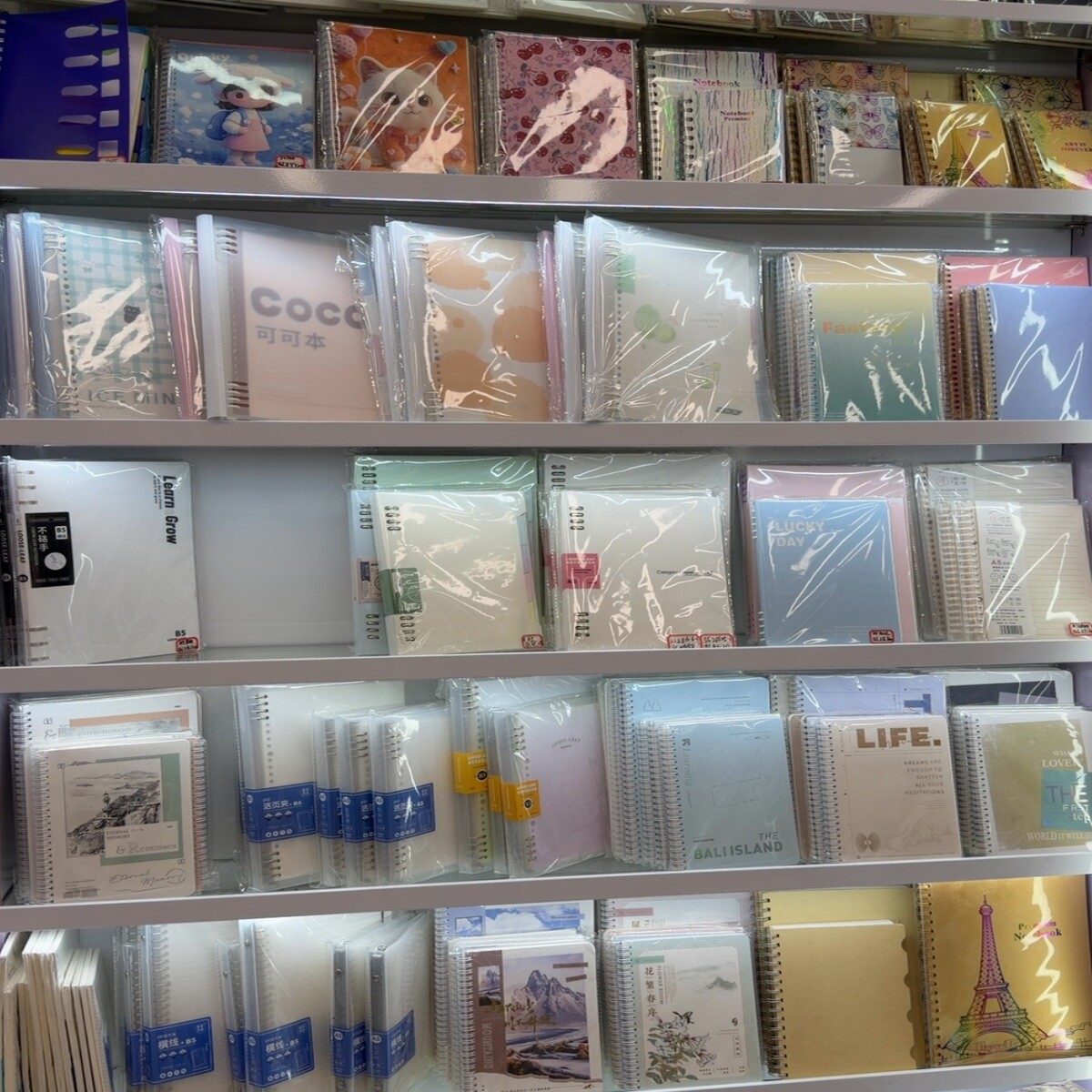 Spiral Notebooks Wholesale China
